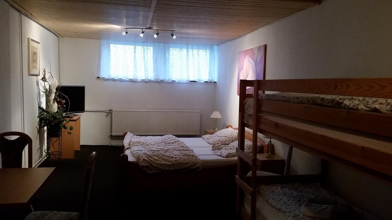 Ehrenfriedersdorf Pension Und Restaurant Die Burg מראה חיצוני תמונה